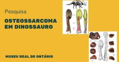 Osteossarcoma é diagnosticado em fóssil de dinossauro Osteossarcoma é diagnosticado em fóssil de dinossauro